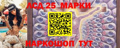 гидропоника Кулебаки