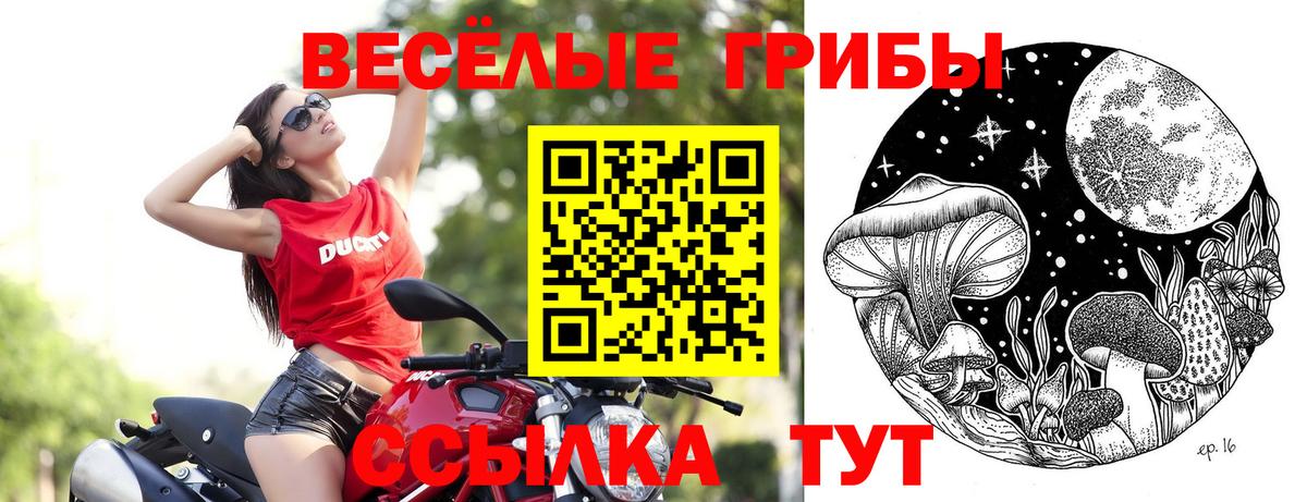 Псилоцибиновые грибы Magic Shrooms  Вход с VPN  наркотики  Знаменск 