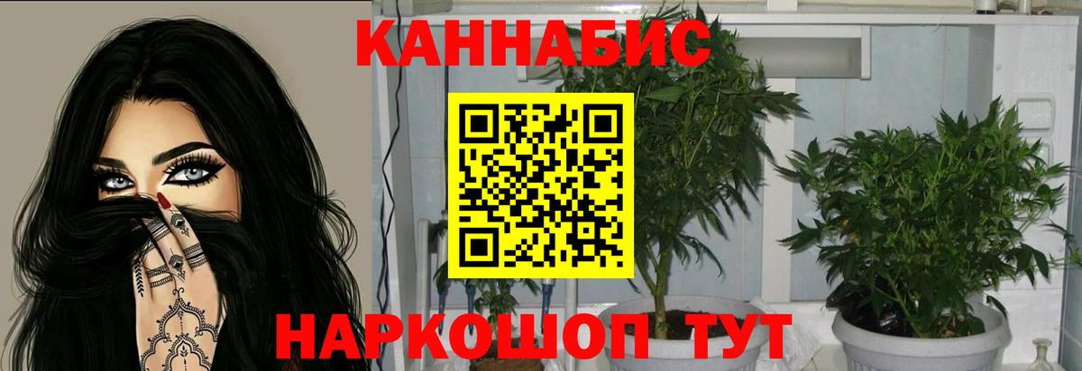 Каннабис семена  Вход с VPN  МАРИХУАНА марихуана  Знаменск  Бошки марихуана сатива 